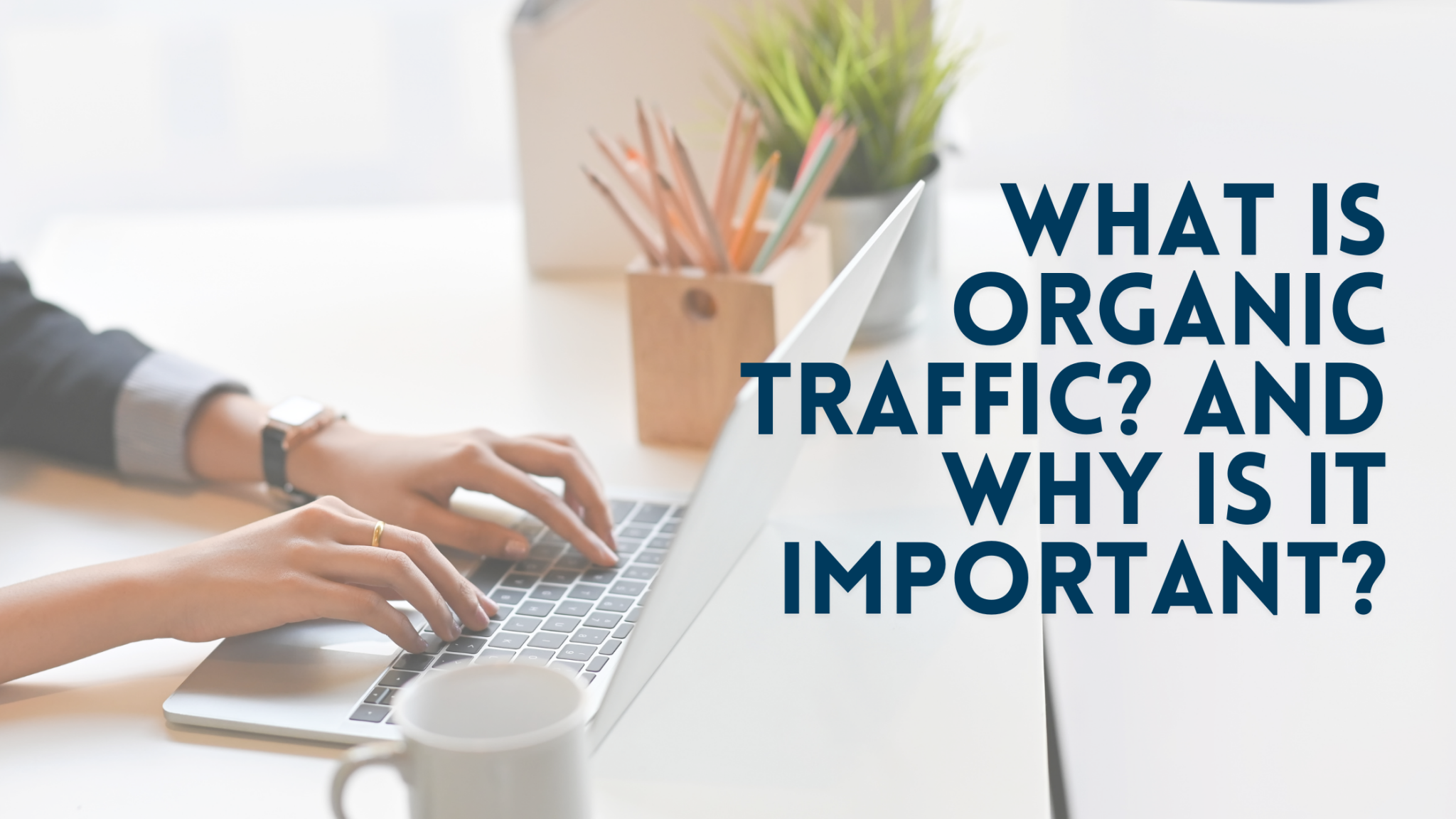 What Is Organic Traffic? And Why Is It Important? WebEagles